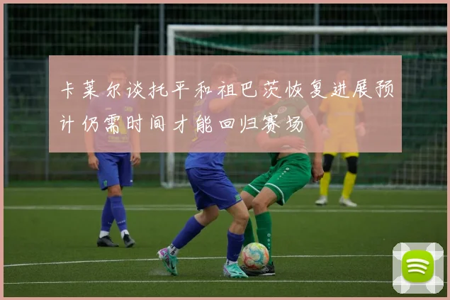 卡莱尔谈托平和祖巴茨恢复进展预计仍需时间才能回归赛场