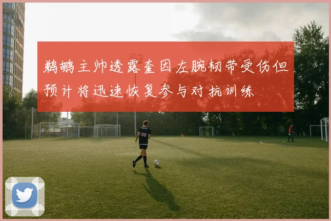 鹈鹕主帅透露奎因左腕韧带受伤但预计将迅速恢复参与对抗训练